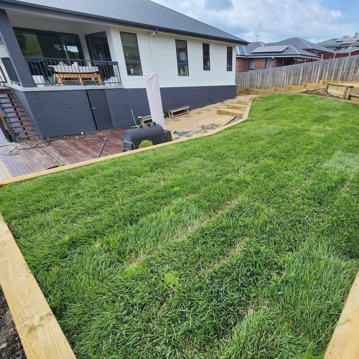 Tall fescue blends instant turf installation Tall fescue blends instant turf installation